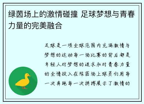 绿茵场上的激情碰撞 足球梦想与青春力量的完美融合