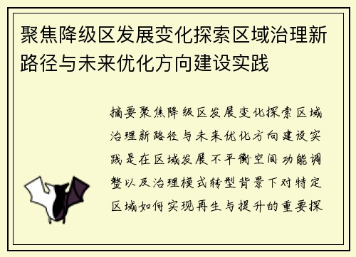 聚焦降级区发展变化探索区域治理新路径与未来优化方向建设实践